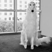 Mel Kuc's photo