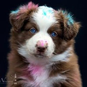 Ulrike Pottrick's photo