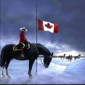 Robin Paradis's photo