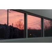 Pamela Dooley's photo