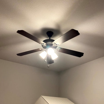 Lighting, Ceiling Fans, and Art