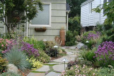 Design ideas for a garden in Seattle.