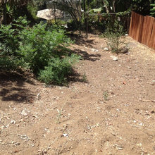 backyard ground view
