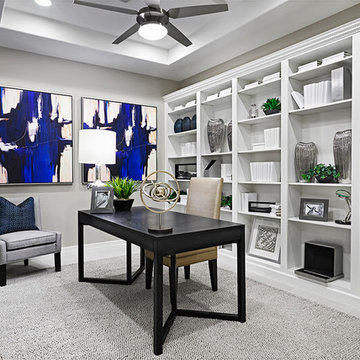 Raven model home in Arizona