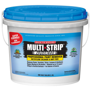 Back To Nature 65764A Multi-Strip Advanced Professional Paint Remover, 1/2 Gal