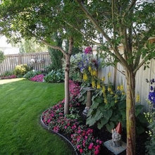 Backyard Landscaping