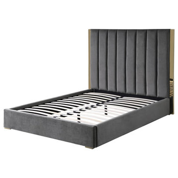 Jalen Dark Gray Velvet King Platform Bed with Gold Accents