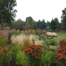 landscape design