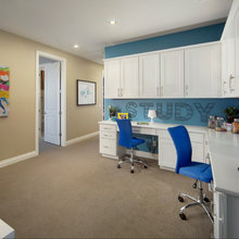 Study Areas