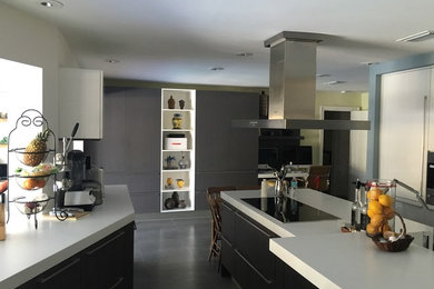 Kitchen - contemporary kitchen idea in Miami