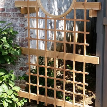 Fence and Trellis