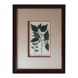 Artwork - Fine Art Prints