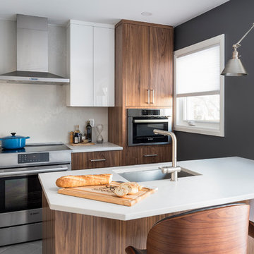 Mid-Century Modern Small Kitchen