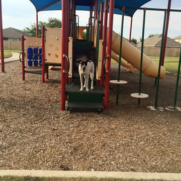 Best Cypress Woodlands Dog Training - Puptown Houston (832) 930-0073