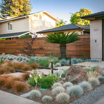 Walnut Creek