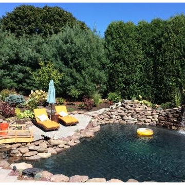 Natural Designed Swimming Hole
