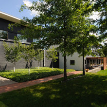 Dream House