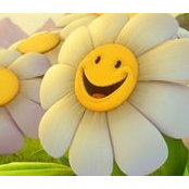 Trudi Freeman's photo