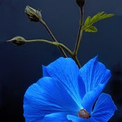 Lita Turner's photo