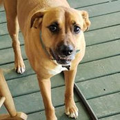 Stacy Miller's photo