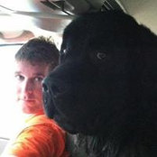 Andy Green's photo