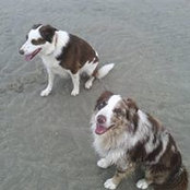 Ludovic Gauthier's photo
