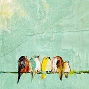 Mary Bates's photo