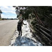 Beatriz Row-has's photo