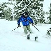 Andrew Lynch's photo