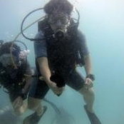 Photo de Wei-Xiang Teoh
