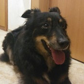 Volker Runge's photo