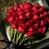 ام حيدر العواميs foto
