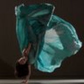 Patricia McGee's photo