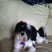Kathy Burton-Wolfe's photo