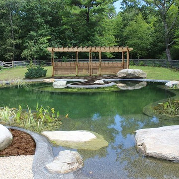 BioNova Natural Swimming Pool - Hartford, CT