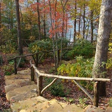 Woodland Path