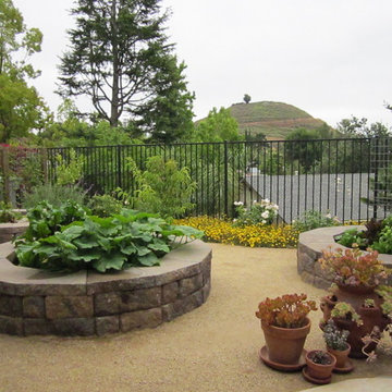 Fun filled Backyards