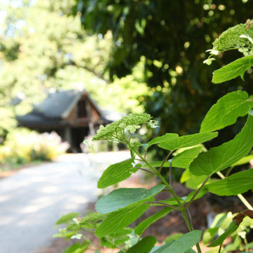 Wynnewood Carriage House