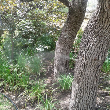 Mosquito Control Systems