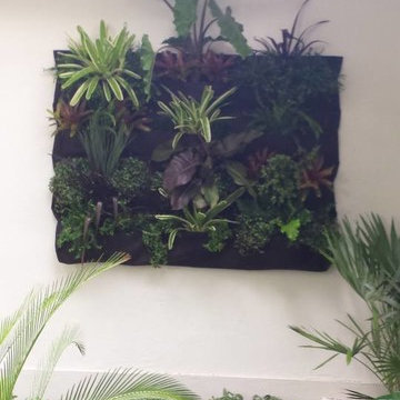 Vertical Gardening Living Walls - Green Walls