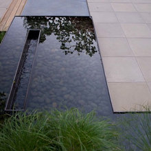 Water Feature