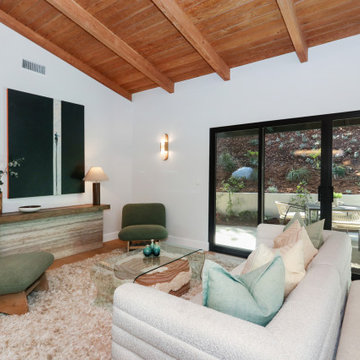 Stylish Mid-Century Modern