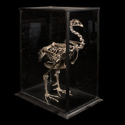 Vintage Silver Leaf Bird Skeleton - Sculptures