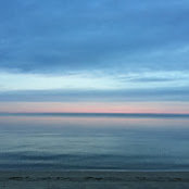 Sarah F's photo
