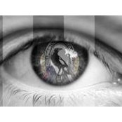 Ni Made Darmawan's photo