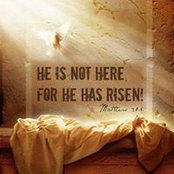 Hester Harrold's photo