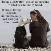 Quynh Pham's photo