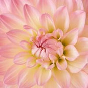 Foto von Judy Silver