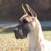 Lori Meyer's photo