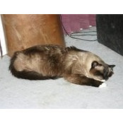 Patrick Larkin's photo